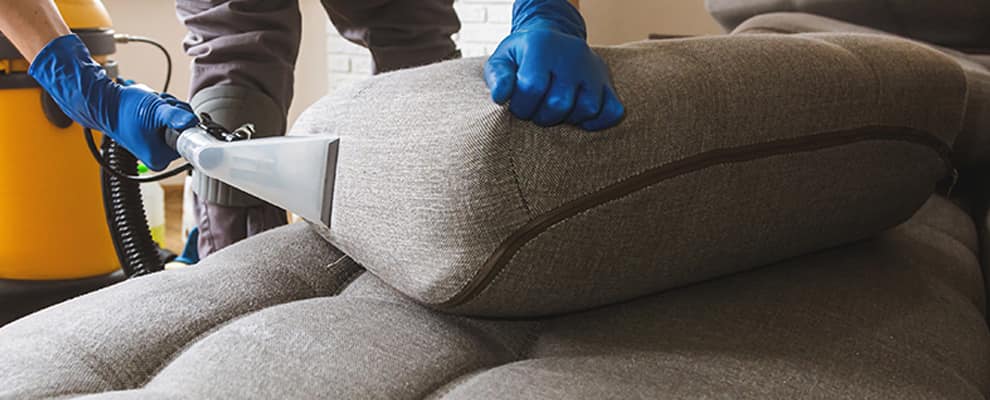 local couch cleaning company