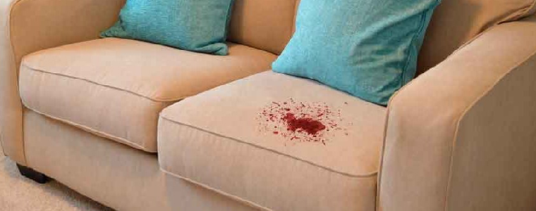 Remove Stains from A Couch