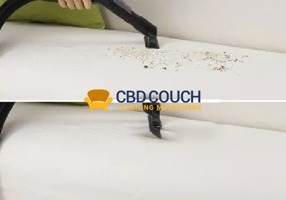 Couch Mould Removal Service