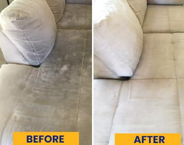Couch Mould Removal Service