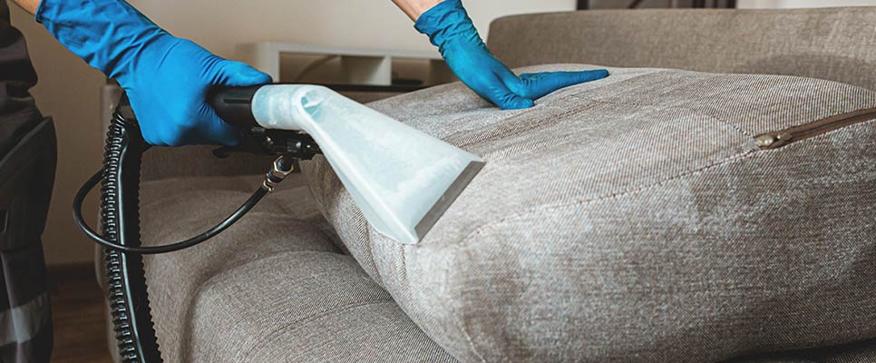 Upholstery Cleaning Services Doreen