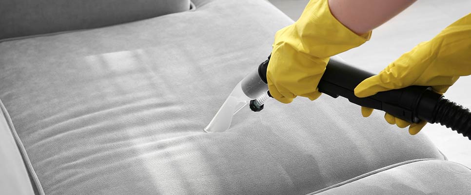 Upholstery Cleaning in Gisborne